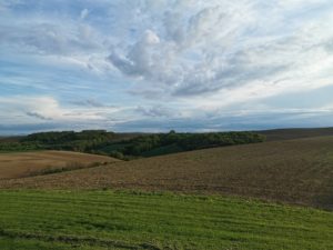 Domaine La Vacquerie