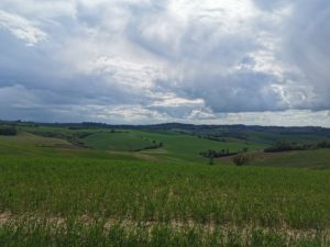 Domaine de la Vacquerie