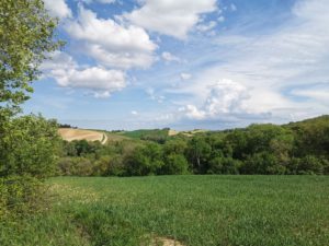 Domaine La Vacquerie